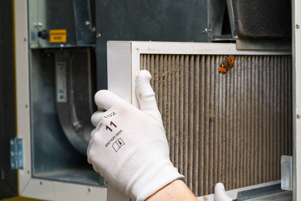 Best Air Quality Test  in Noel, MO